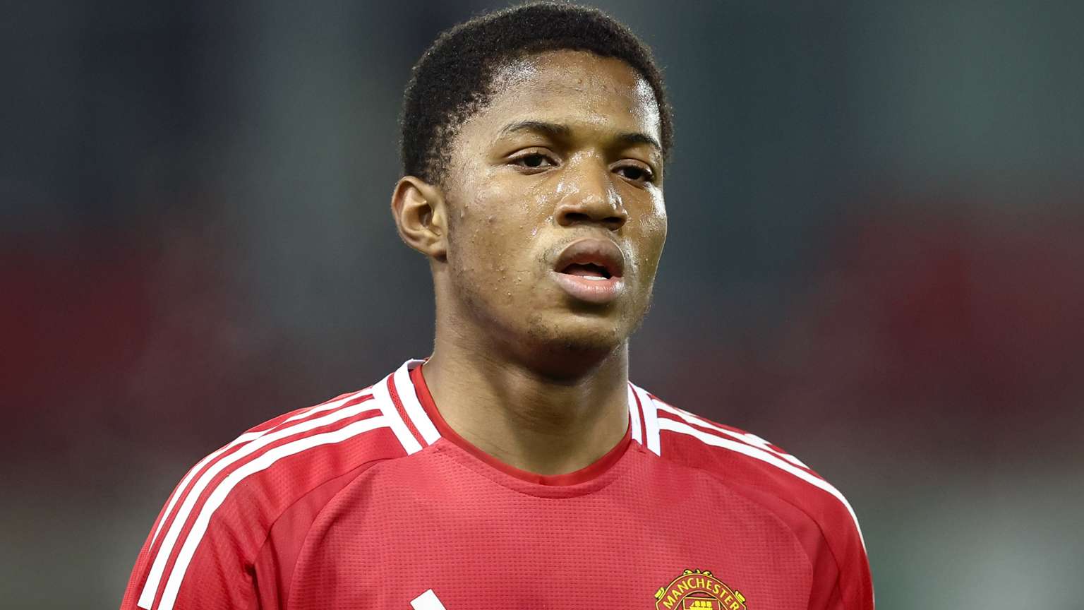 联盟党新政 联盟党新政