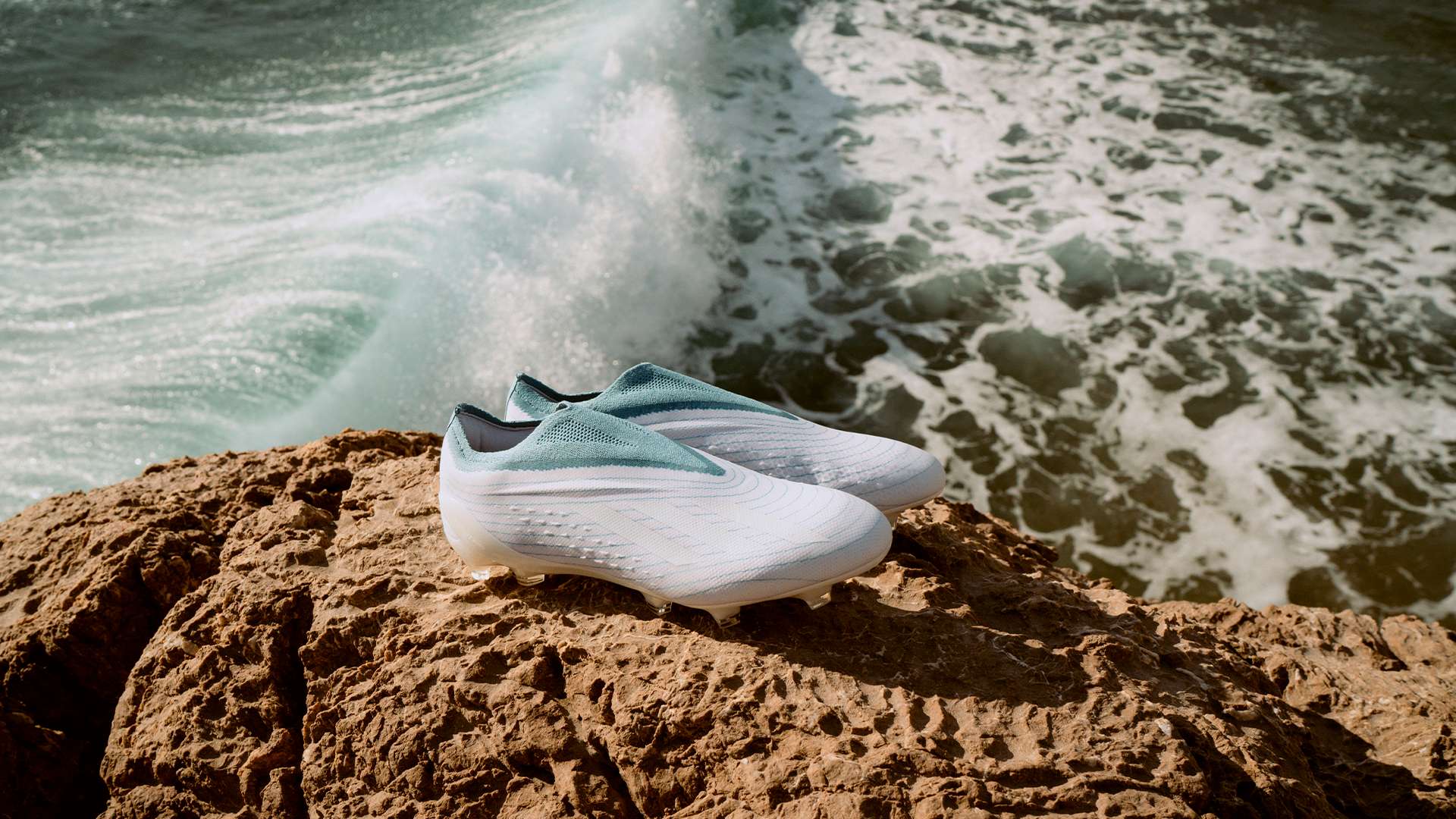 这意味着他 这意味着他